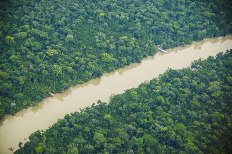 Região de mata preservada no Pará
