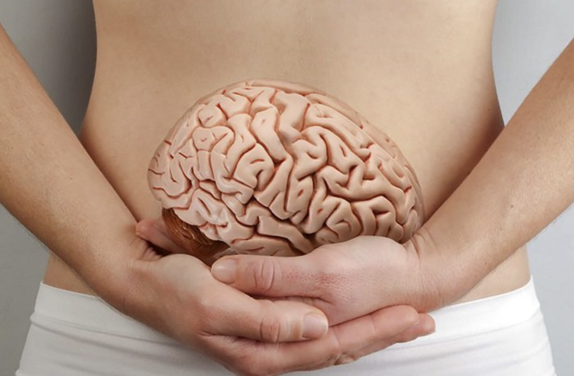 SEGUNDO CÉREBRO - Microbioma: intestino tem influência sobre a saúde mental