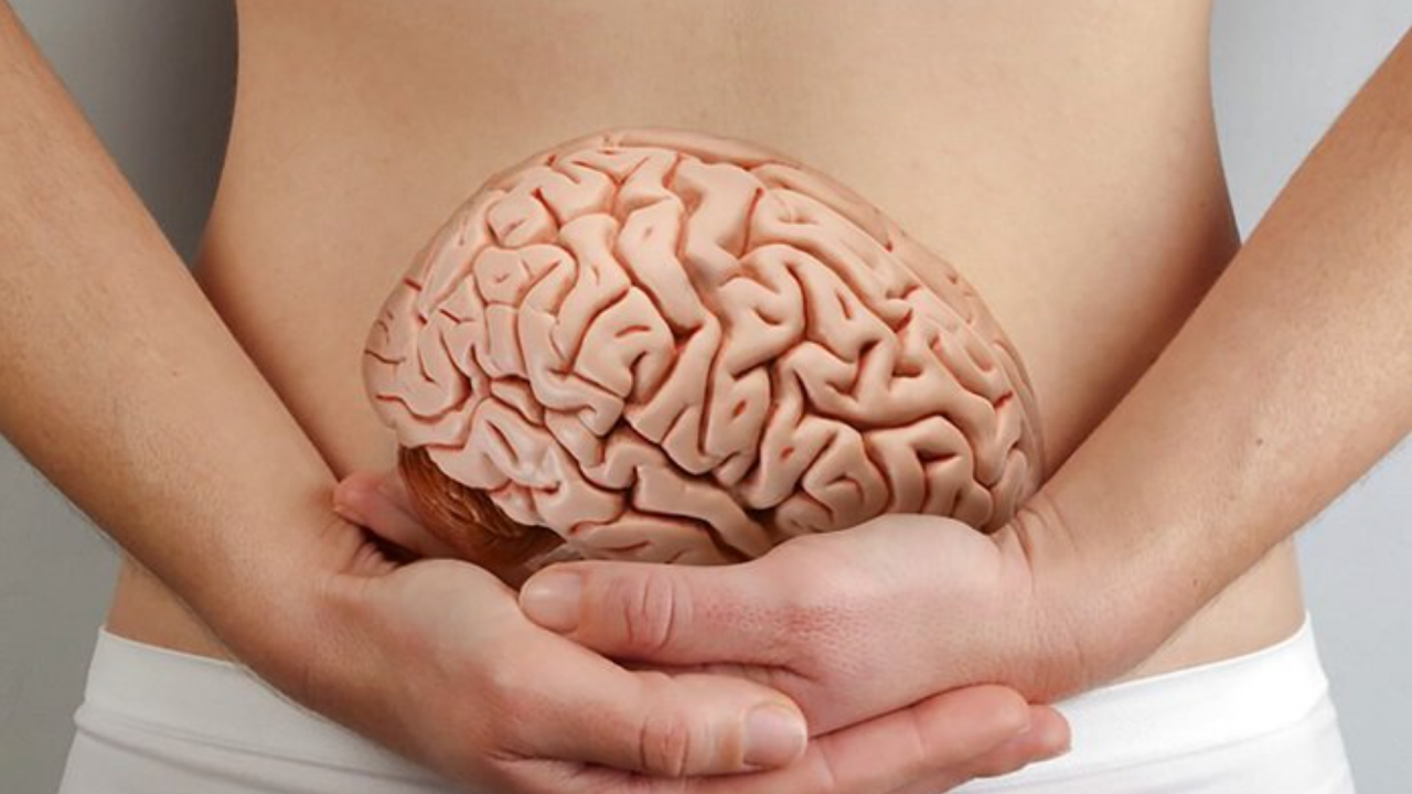 SEGUNDO CÉREBRO - Microbioma: intestino tem influência sobre a saúde mental