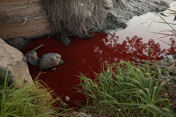 gettyimages-2197496876-594×594 Rio Sarandí, em subúrbio da capital argentina, Buenos Aires, fica vermelho vivo. 06/02/2025
