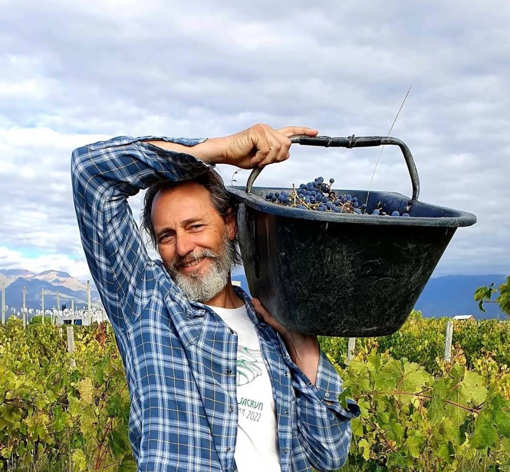 O craque de vinhos argentinos que jogou para escanteio a uva Malbec