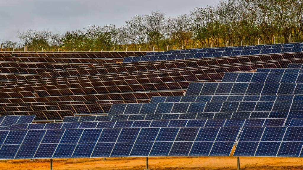 Um lugar ao sol: A estratégia da Bow-e para crescer no mercado