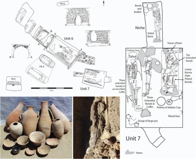 Analysis-of-the-remains-at-Tombos-_pictured-in-this-illustration_-indicates-varying-levels-of-physic Analysis-of-the-remains-at-Tombos-_pictured-in-this-illustration_-indicates-varying-levels-of-physic