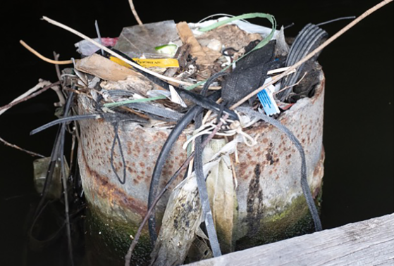 Ninhos de pássaros em Amsterdã preservam lixo plástico de 30 anos atrás