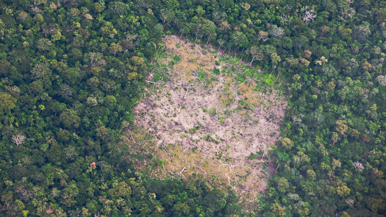 Clareira desmatada na floresta amazônica
