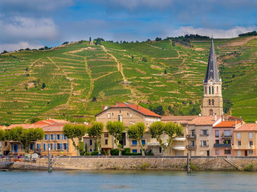 GettyImages-624160692.jpg ORIGEM - Região do Rhône: de lá, as mudas viajaram para a América do Sul