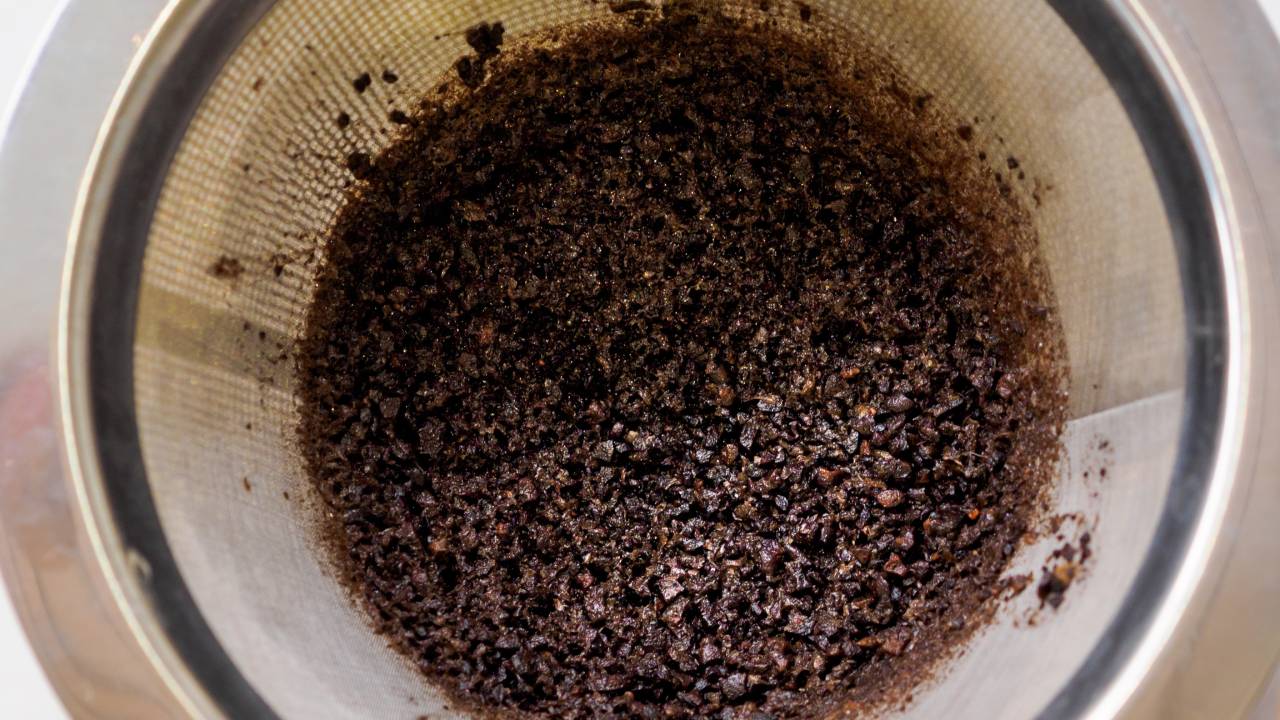 Flat lay closeup view of used wet used coffee grounds in a coffee percolator funnel used for drip coffee / pour-over coffee preparation