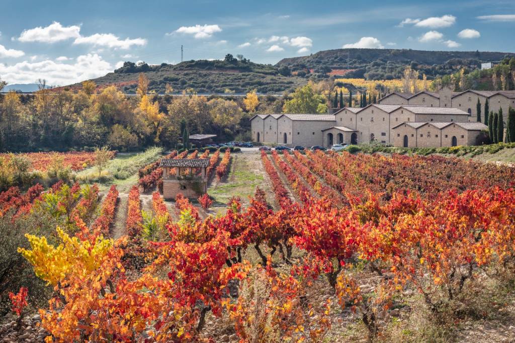 Os vinhos podem ser tão eternos quanto os diamantes?