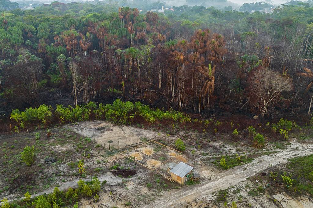 000_36QU7KU.jpg Impacto ambiental: o desmatamento da Amazônia foi responsável por 30% das emissões no país em 2023