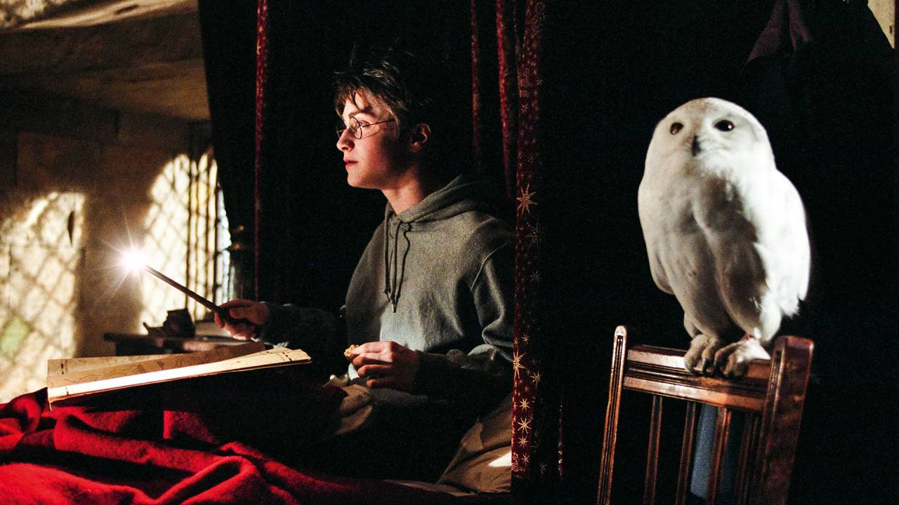 SÓ NOS FILMES - O bruxinho Harry Potter (Daniel Radcliffe) e Edwiges, sua pet: ave difícil de criar dentro de casa