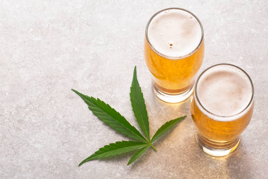 Cerveja feita com terpenos da Cannabis será lançada no Dia da Maconha