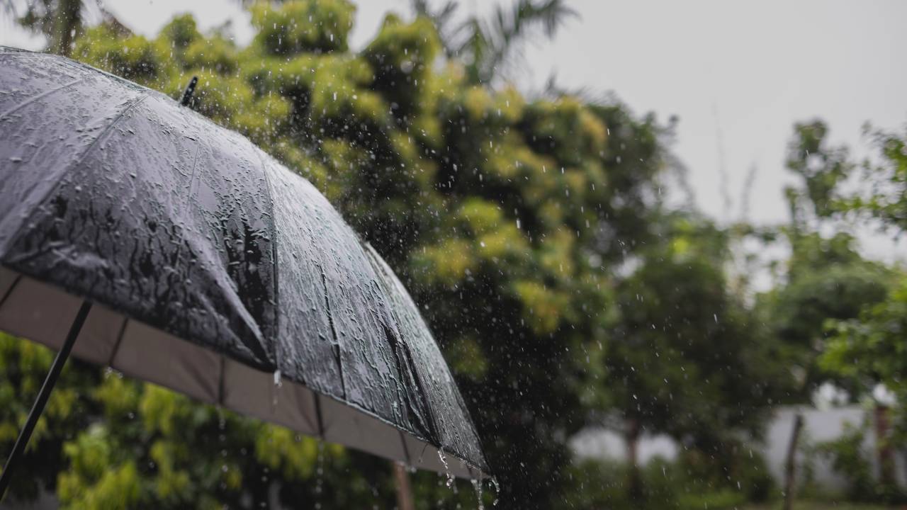 CHUVA - Agrotóxicos: detecção em três cidades paulistas