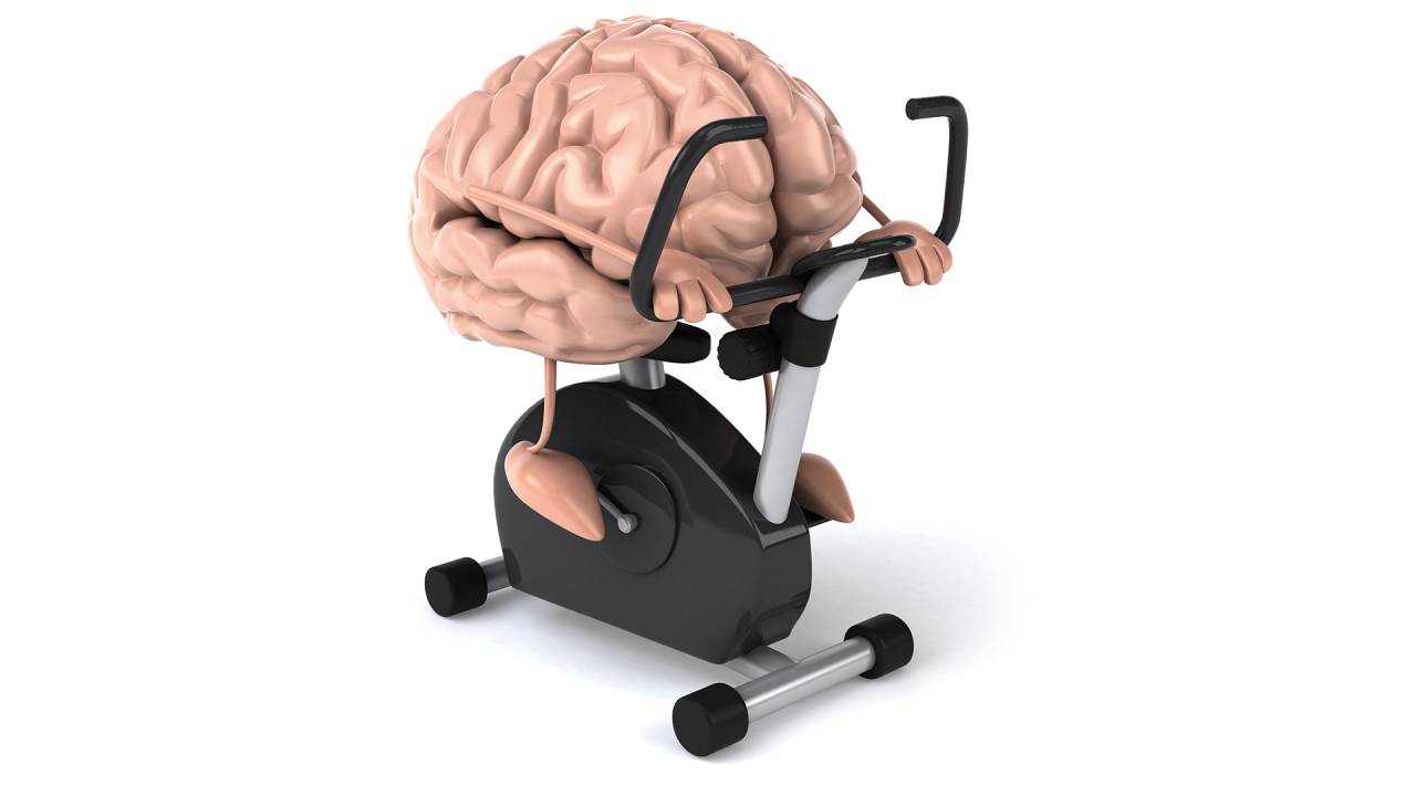 EFEITO CEREBRAL - Ginástica para os neurônios: esportes modulam a liberação de substâncias na massa cinzenta