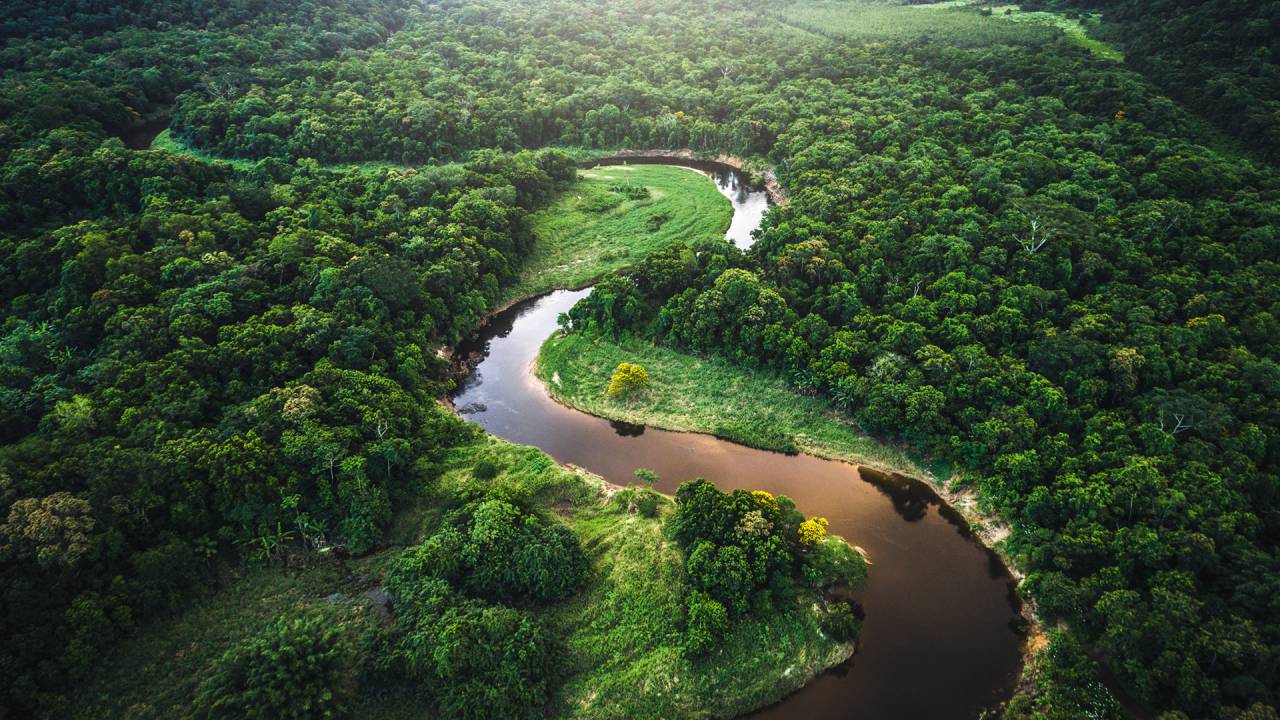 Amazônia: meta brasileira é restaurar 12 milhões de hectares de biomas nativos até 2030