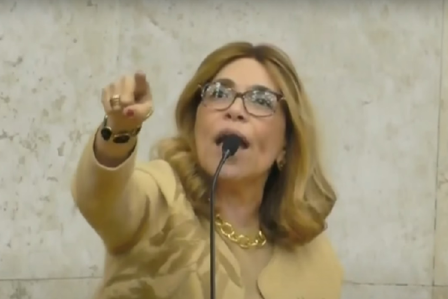 A vereadora Cris Monteiro (Novo) durante sessão na Câmara Municipal de São Paulo