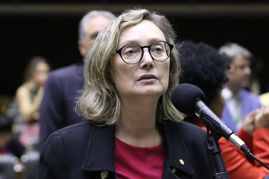 A deputada federal Maria do Rosário (PT-RS) durante sessão legislativa na Câmara