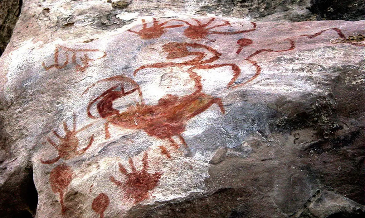 Pinturas rupestres em Monte Alegre: patrimônio ameaçado
