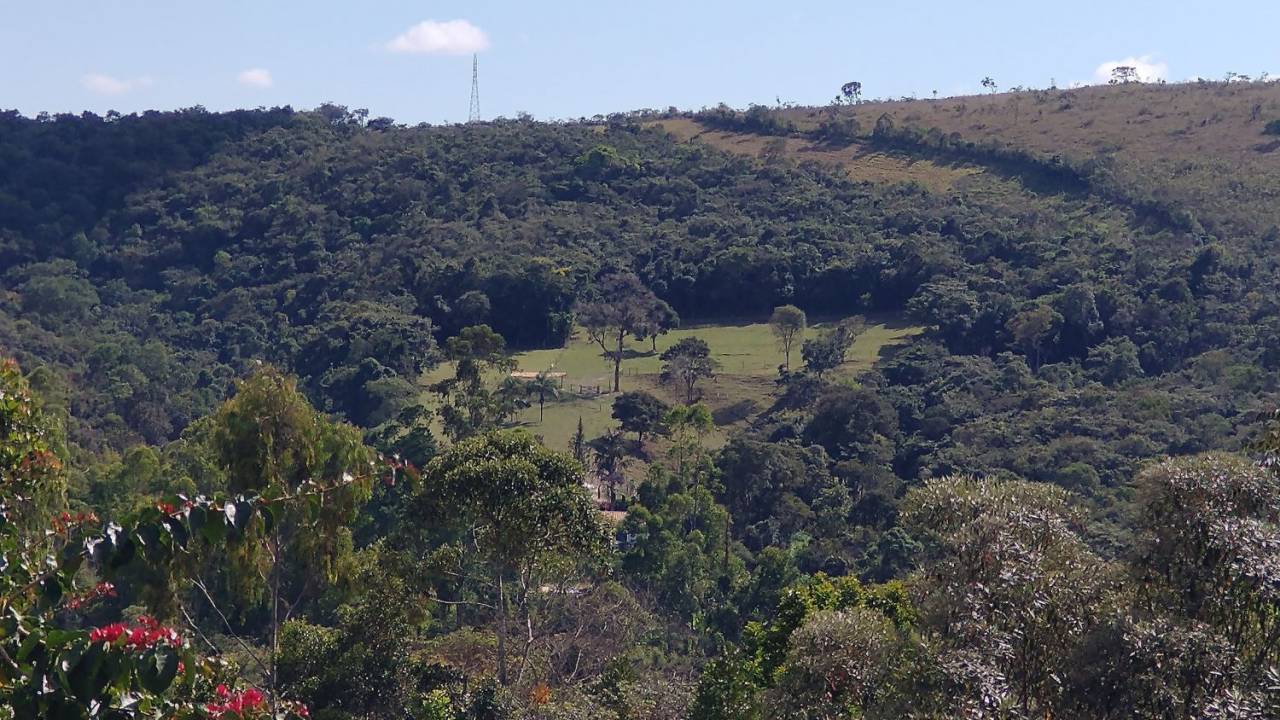 Imagem de uma zona de mata com uma clareira no centro com algumas árvores isoladas no meio. Céu azul e algumas nuvens acima no fundo.
