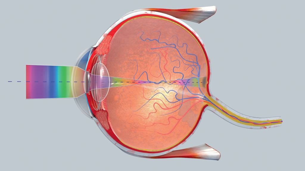 3D illustration of a cross-section of the human eye in a side view O ALVO - A experiência de Berkeley: feixes miraram tecido no fundo do globo