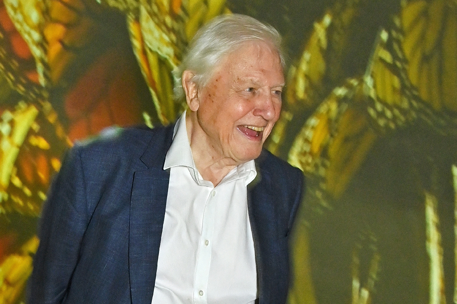 David Attenborough