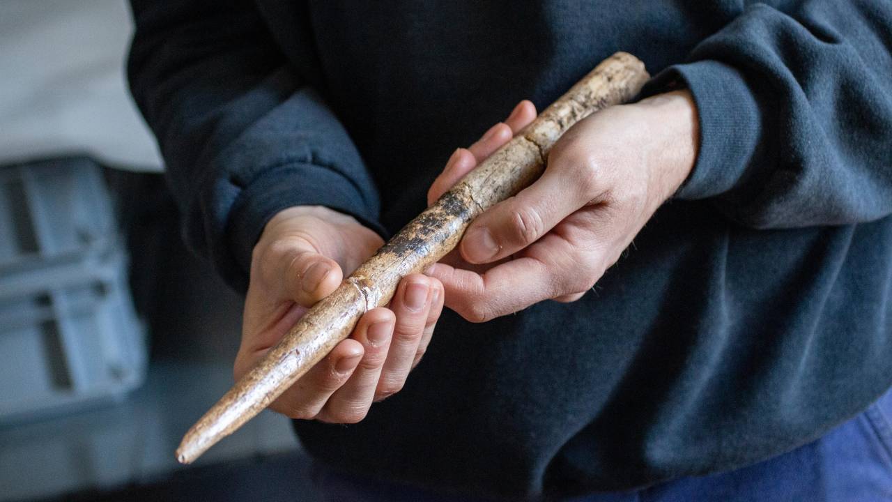 Objeto de 20 mil anos feito com osso de baleia, identificado em sítio arqueológico europeu — Foto: Jean-Marc Pétillon/Nature Communications