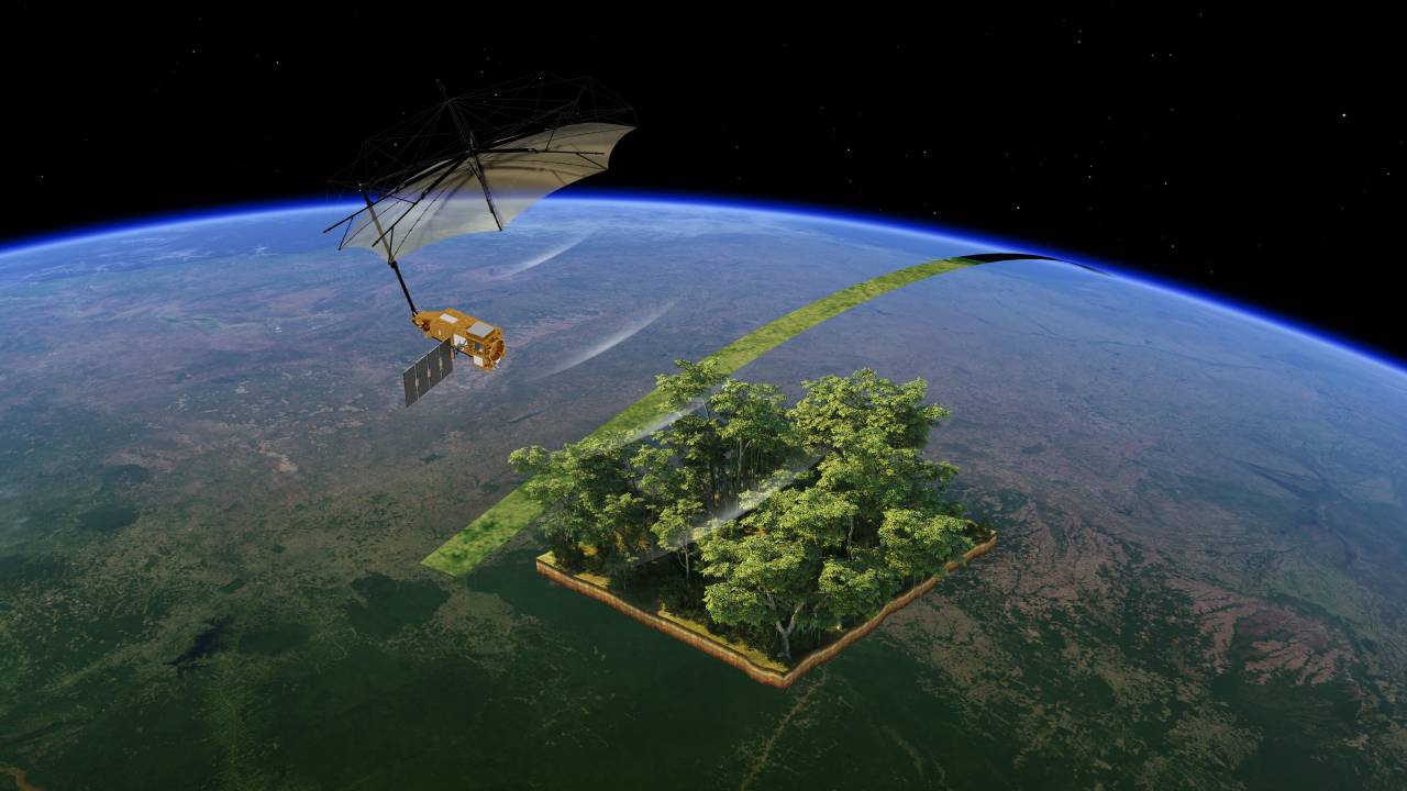 Novo satélite da ESA que mede a quantidade de carbono armazenada na floresta