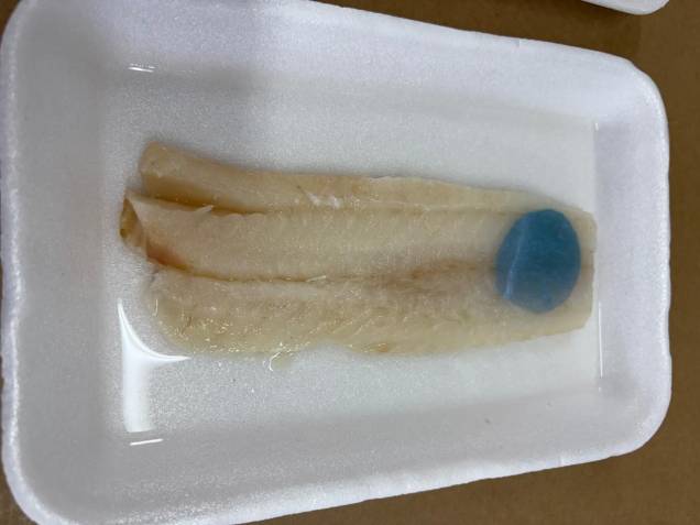 PEIXE ESTRAGADO - Azul: embalagem indica que produto não está bom PEIXE ESTRAGADO - Azul: embalagem indica que produto não está bom