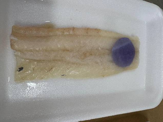 PEIXE FRESCO - Roxo: embalagem indica que produto está bom PEIXE FRESCO - Roxo: embalagem indica que produto está bom