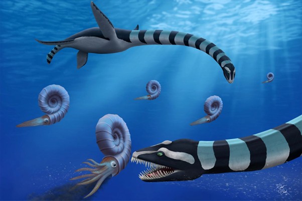 Representação artística mostra dois répteis marinhos da espécie Traskasaura sandrae caçando moluscos no oceano há 85 milhões de anos.