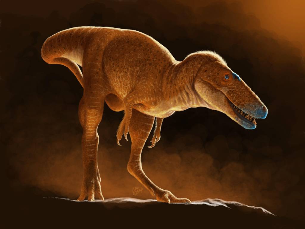 Dinossauro descoberto na Mongólia muda a história do T. rex