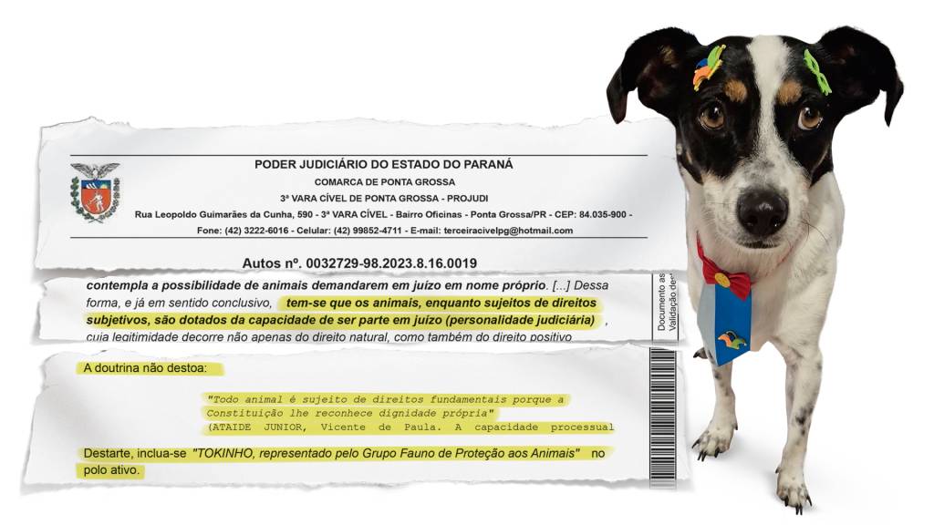 A lei do cão: vira-lata abusado pelo tutor abre caminho para uma grande vitória