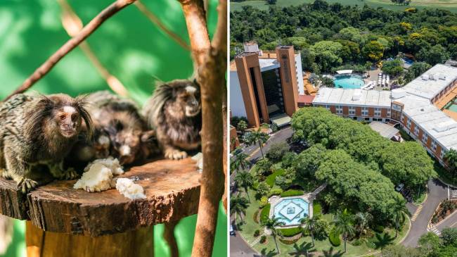 Bourbon Thermas Eco Resort Cataratas do Iguaçu Bourbon Thermas Eco Resort Cataratas do Iguaçu