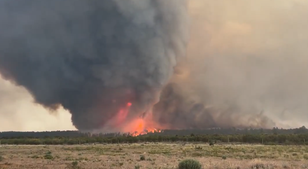 Vídeo: incêndio florestal nos EUA se transforma em ‘tornado de fogo’