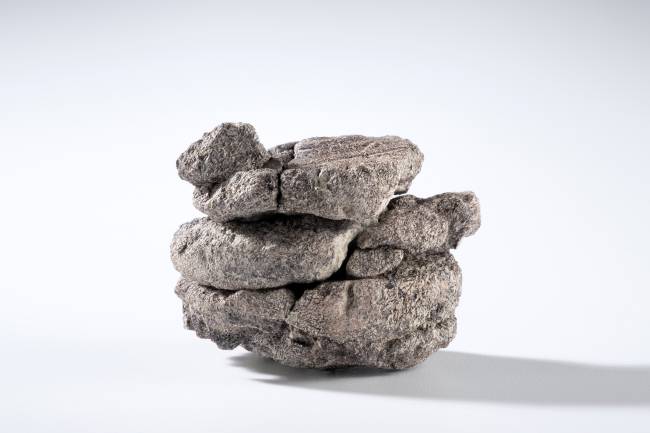 EAS2025-2 Ornithopod vertebra from the Denver Formation, from 763' of depth in the City Park core drilling in the parking lot at Denver Museum of Nature and Science.