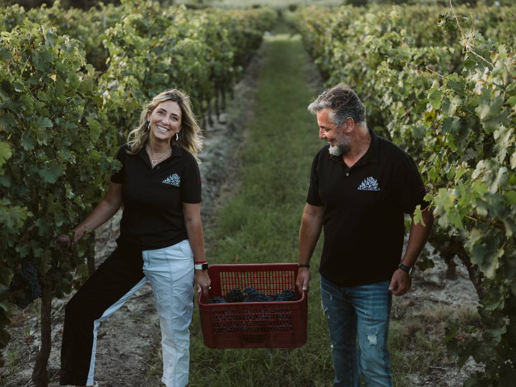 Vinícola uruguaia premiada lança Laboratório do Vinho para visitantes criarem o próprio rótulo