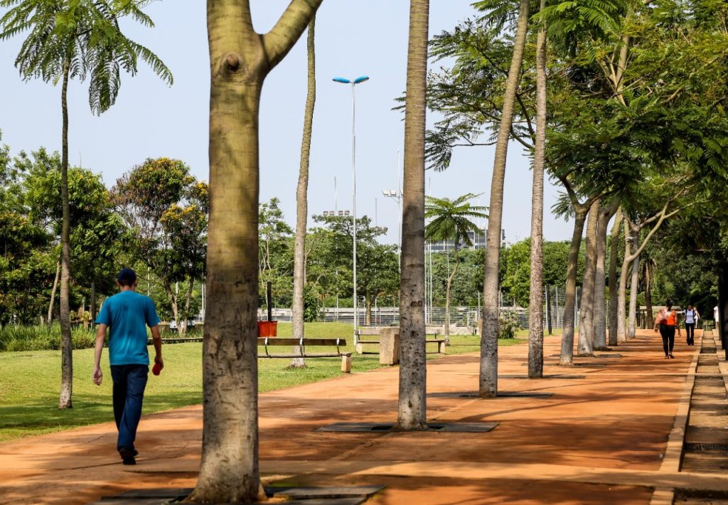 Consulta pública sobre concessão de parques em SP acaba nesta semana