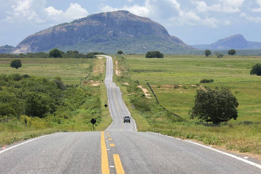Ceará registra foco de gripe aviária em criação doméstica