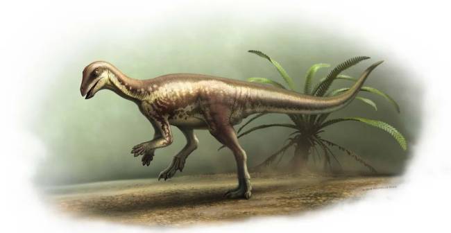 Representação artística do Enigmacursor mollyborthwickae, dinossauro ágil e herbívoro que viveu no período Jurássico no que hoje é o oeste dos Estados Unidos.