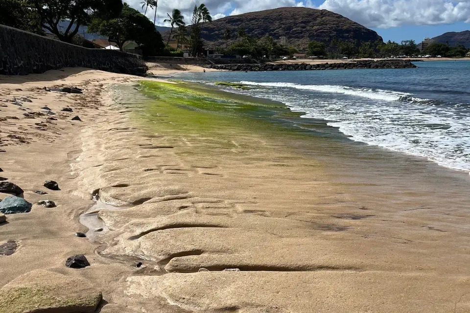 Maré baixa revela arte ancestral de 600 anos escondida em praia do Havaí