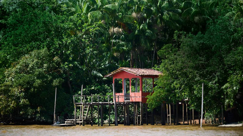 Cartão-postal na selva: o exemplo de sustentabilidade da Ilha do Combu