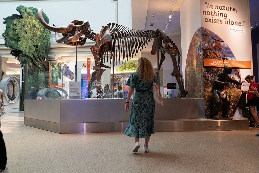 Casa Branca ordena revisão de museus para garantir alinhamento com Trump