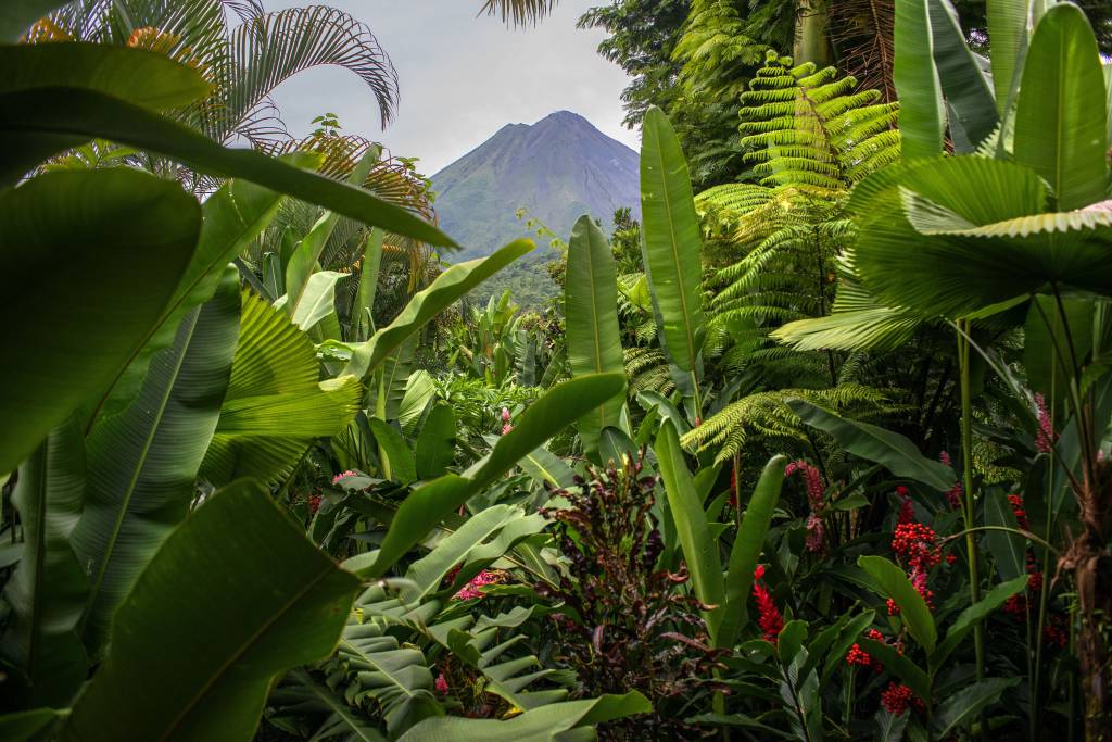 Classificada como desenvolvida, Costa Rica investiu pesado na natureza
