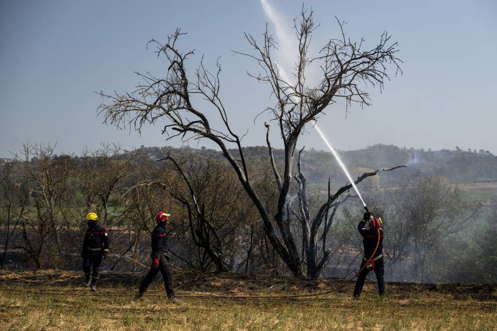 Incêndios devastam vinhedos no sul da França e ameaçam safra de 2025