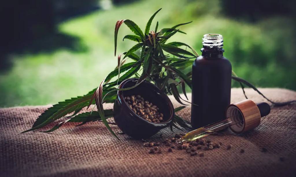 Justiça barra restrições no mercado de cannabis no Texas