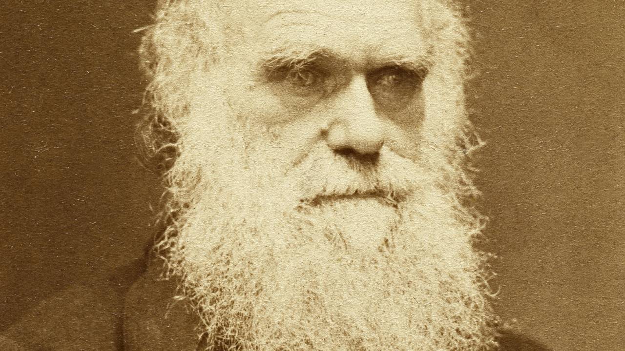 charles-darwin
