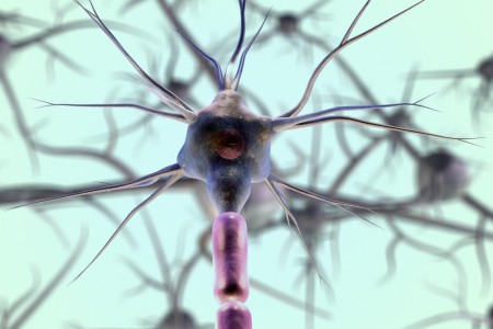 Ferramenta criada por brasileiros prevê eficácia de tratamento para esclerose múltipla