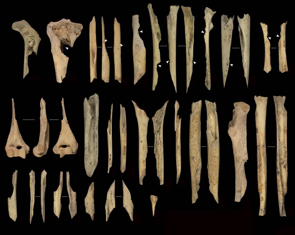 Evidências de canibalismo pré-histórico são encontradas em caverna na Espanha