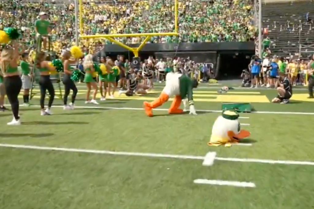 VÍDEO: Mascote do Oregon Ducks perde cabeça (literalmente) e sai correndo