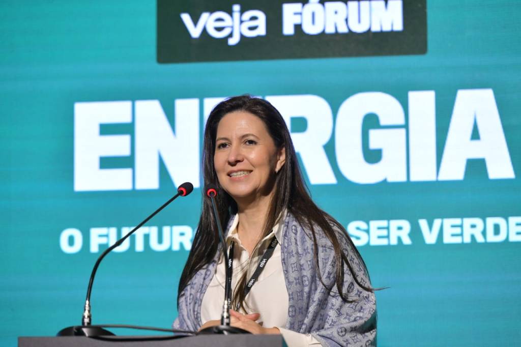 Aposta em geração distribuída pode causar crise operacional, diz presidente da Elera