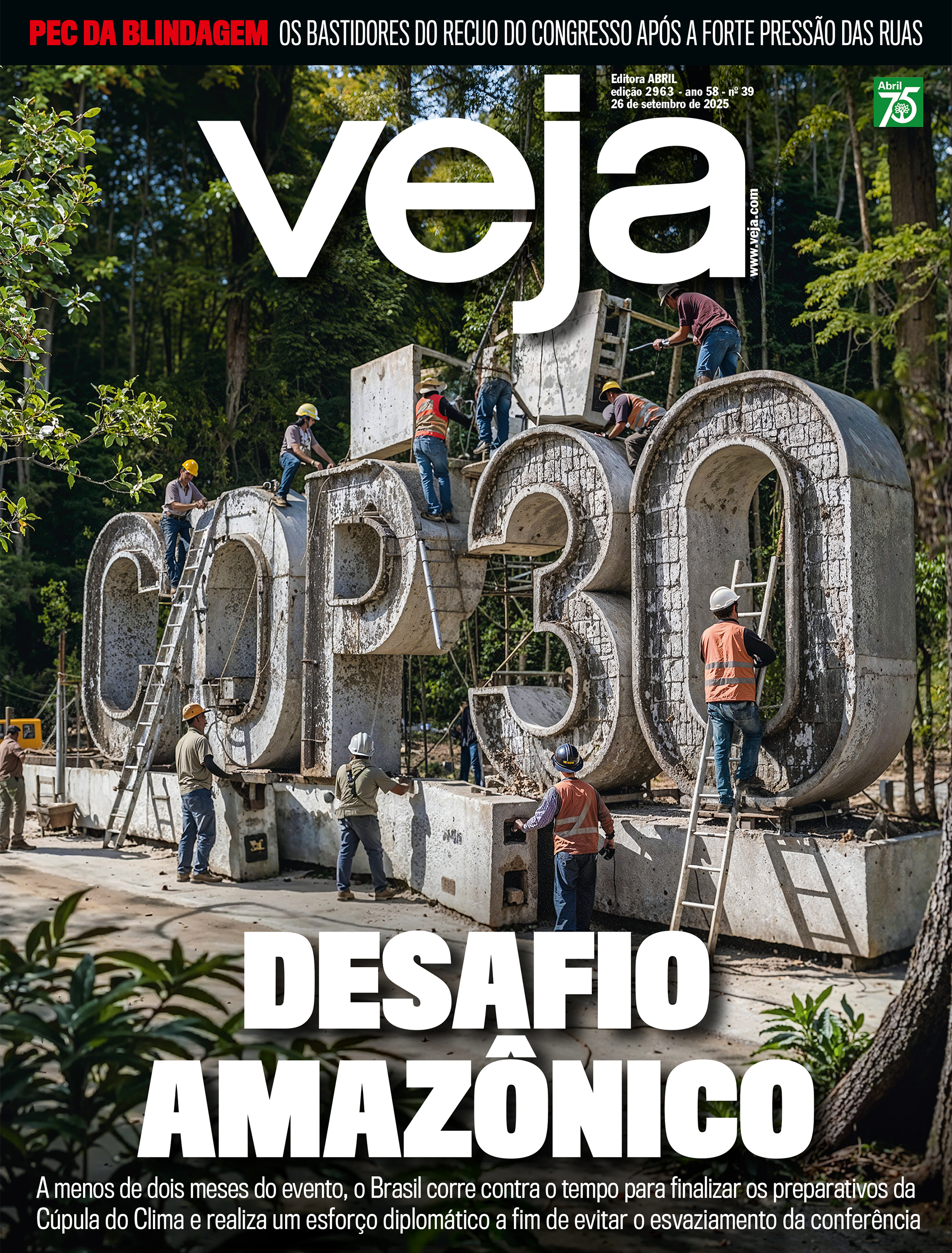 DESAFIO AMAZÔNICO